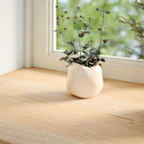 Vidaxx vindueskarme 2 stk ubehandlet 160x40x2 cm massiv eg