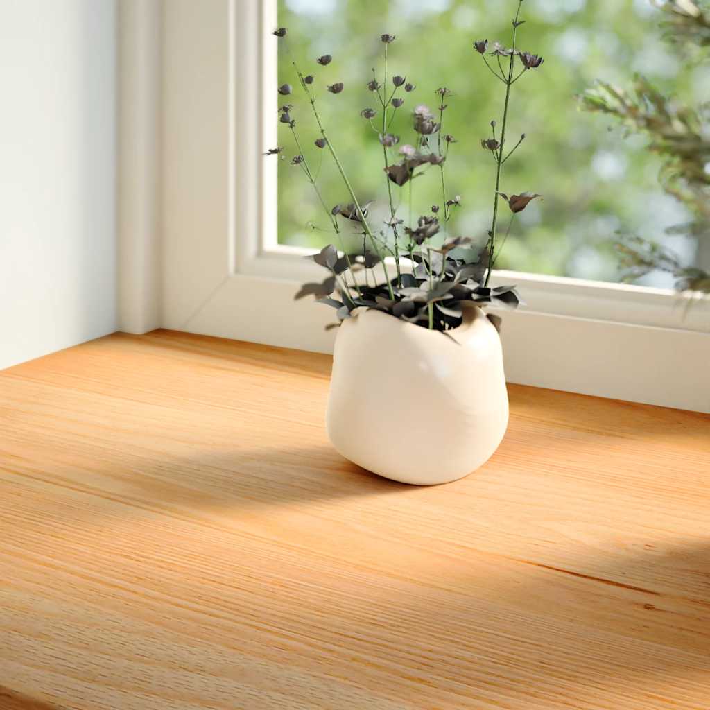 Vidaxx vindueskarme 2 stk 100x40x2 cm massiv eg lysebrun