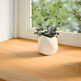 Vidaxx vindueskarme 2 stk 110x40x2 cm massiv eg lysebrun