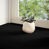 Vidaxx vindueskarme 2 stk 90x20x2 cm massiv eg mørkebrun