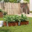 Vidaxx plantekasse 150x50 cm massiv fyrretræ brun