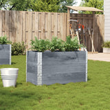 VidaXL Plantekasse 100x50 cm massiv fyrretræ grå