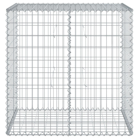 Vidaxx gabion 100x50x100 cm galvaniseret jern sølvfarvet