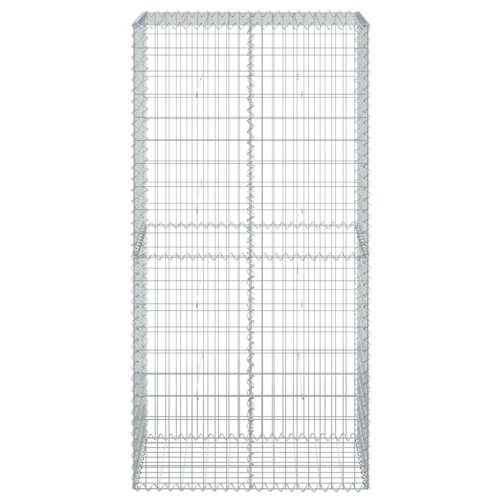 Vidaxx gabion 100x50x200 cm galvaniseret jern sølvfarvet