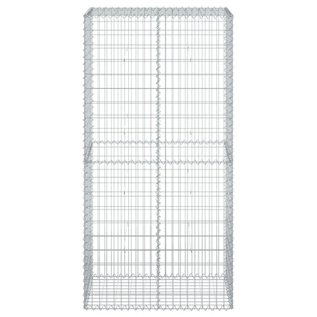 Vidaxx gabion 100x50x200 cm galvaniseret jern sølvfarvet
