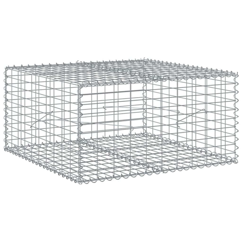 Vidaxx gabion 100x100x50 cm galvaniseret jern sølvfarvet