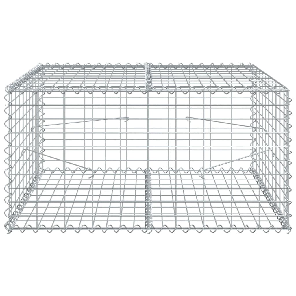 Vidaxx gabion 100x100x50 cm galvaniseret jern sølvfarvet