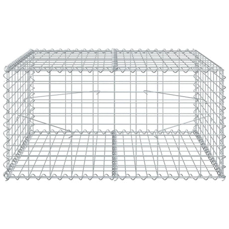 Vidaxx gabion 100x100x50 cm galvaniseret jern sølvfarvet