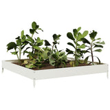 Vidaxx plantekasse hævet 100x100x18,5 cm stål hvid