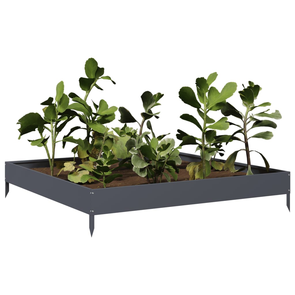 Vidaxx plantekasse hævet 100x100x18,5 cm stål antracit