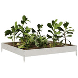 Vidaxx plantekasse hævet 100x100x18,5 cm rustfrit stål