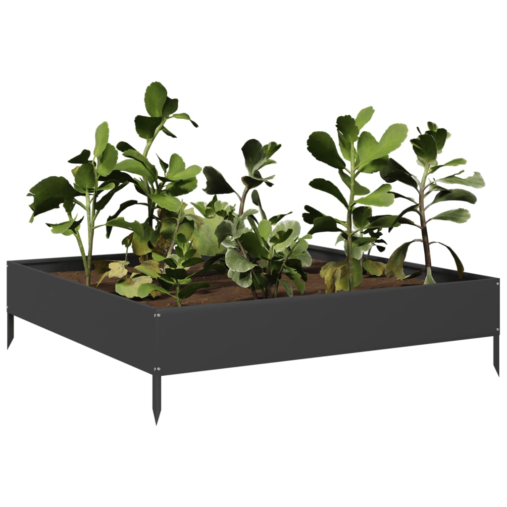 Vidaxx plantekasse hævet 100x100x26 cm stål sort