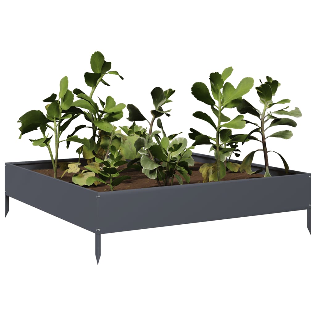 Vidaxx plantekasse hævet 100x100x26 cm stål antracit