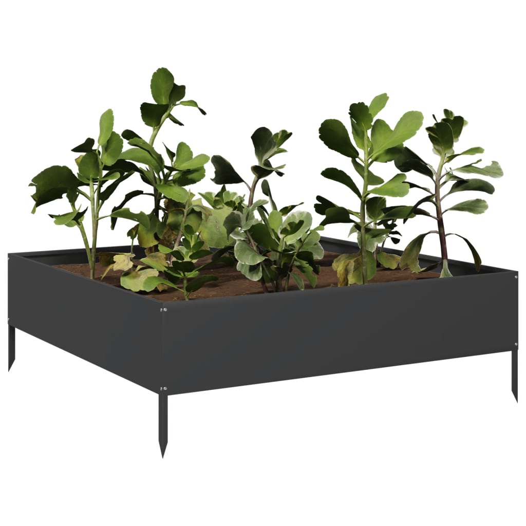 Vidaxx plantekasse hævet 100x100x33,5 cm stål sort