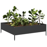 Vidaxx plantekasse hævet 100x100x33,5 cm stål sort