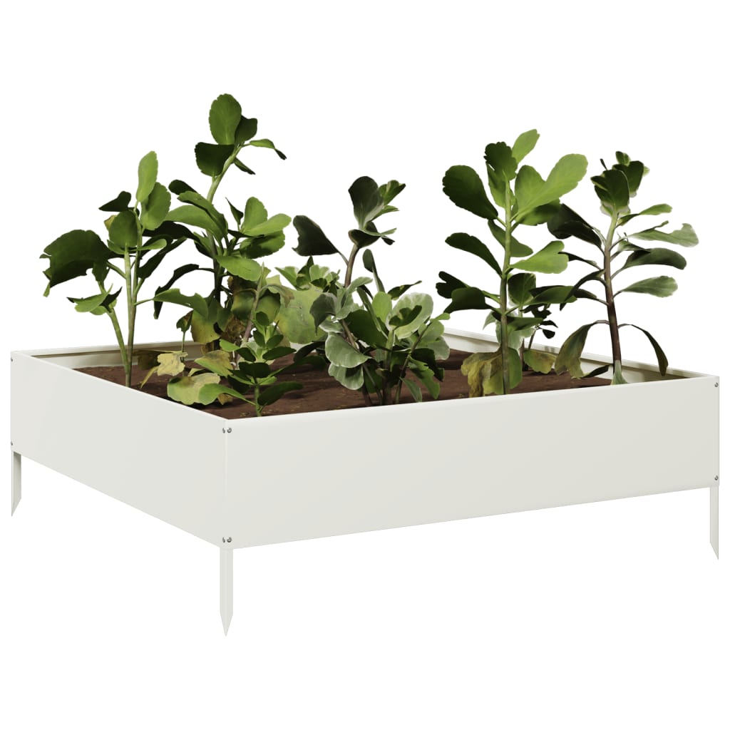 Vidaxx plantekasse hævet 100x100x33,5 cm stål hvid