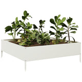 Vidaxx plantekasse hævet 100x100x33,5 cm stål hvid