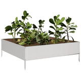 Vidaxx plantekasse hævet 100x100x33,5 cm rustfrit stål