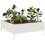 Vidaxx plantekasse hævet 100x100x25 cm stål hvid