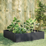 Vidaxx plantekasse hævet 100x100x25 cm stål antracit