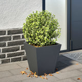 Vidaxx plantekasse 30x30x30 cm stål antracit