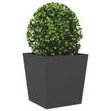 Vidaxx plantekasse 50x50x50 cm stål sort