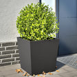 Vidaxx plantekasser 2 stk 50x50x50 cm stål sort