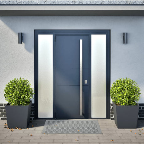 Vidaxx plantekasser 2 stk 50x50x50 cm stål antracit