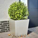 Vidaxx plantekasser 2 stk 50x50x50 cm rustfrit stål