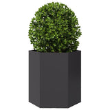 Vidaxx plantekasse sekskant 46x40x45 cm stål sort