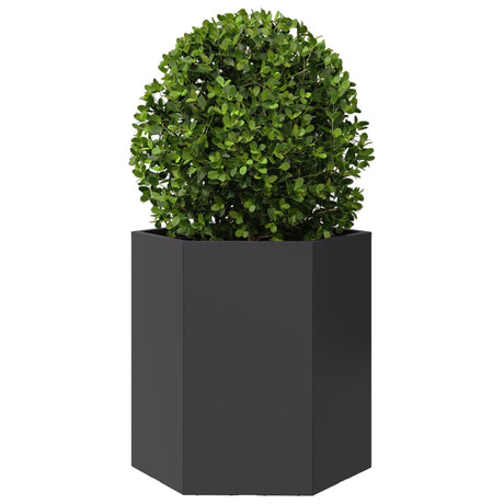 Vidaxx plantekasse sekskant 46x40x45 cm stål sort