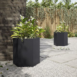 Vidaxx plantekasser 2 stk sekskant 46x40x45 cm stål sort