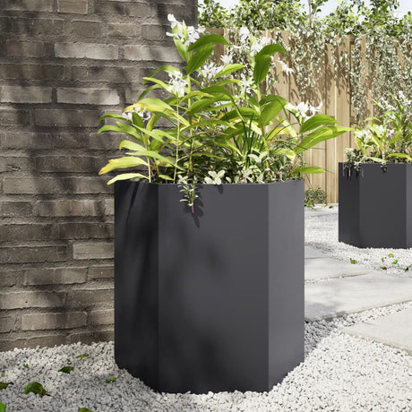 Vidaxx plantekasser 2 stk sekskant 46x40x45 cm stål sort