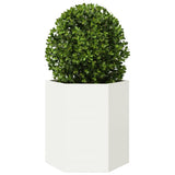 Vidaxx plantekasse sekskant 46x40x45 cm stål hvid