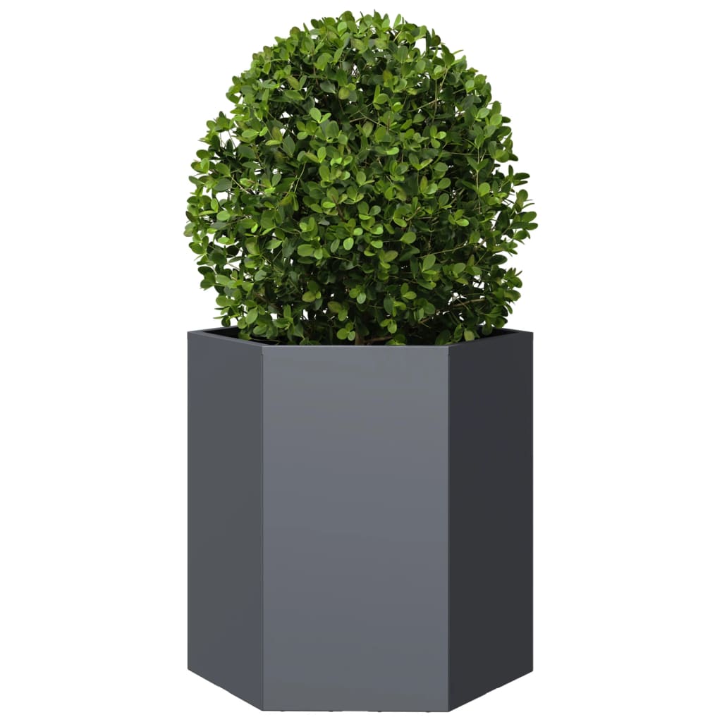 Vidaxx plantekasse sekskant 46x40x45 cm stål antracit