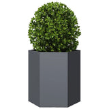 Vidaxx plantekasse sekskant 46x40x45 cm stål antracit
