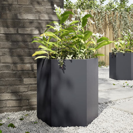 Vidaxx plantekasse sekskant 46x40x45 cm stål antracit