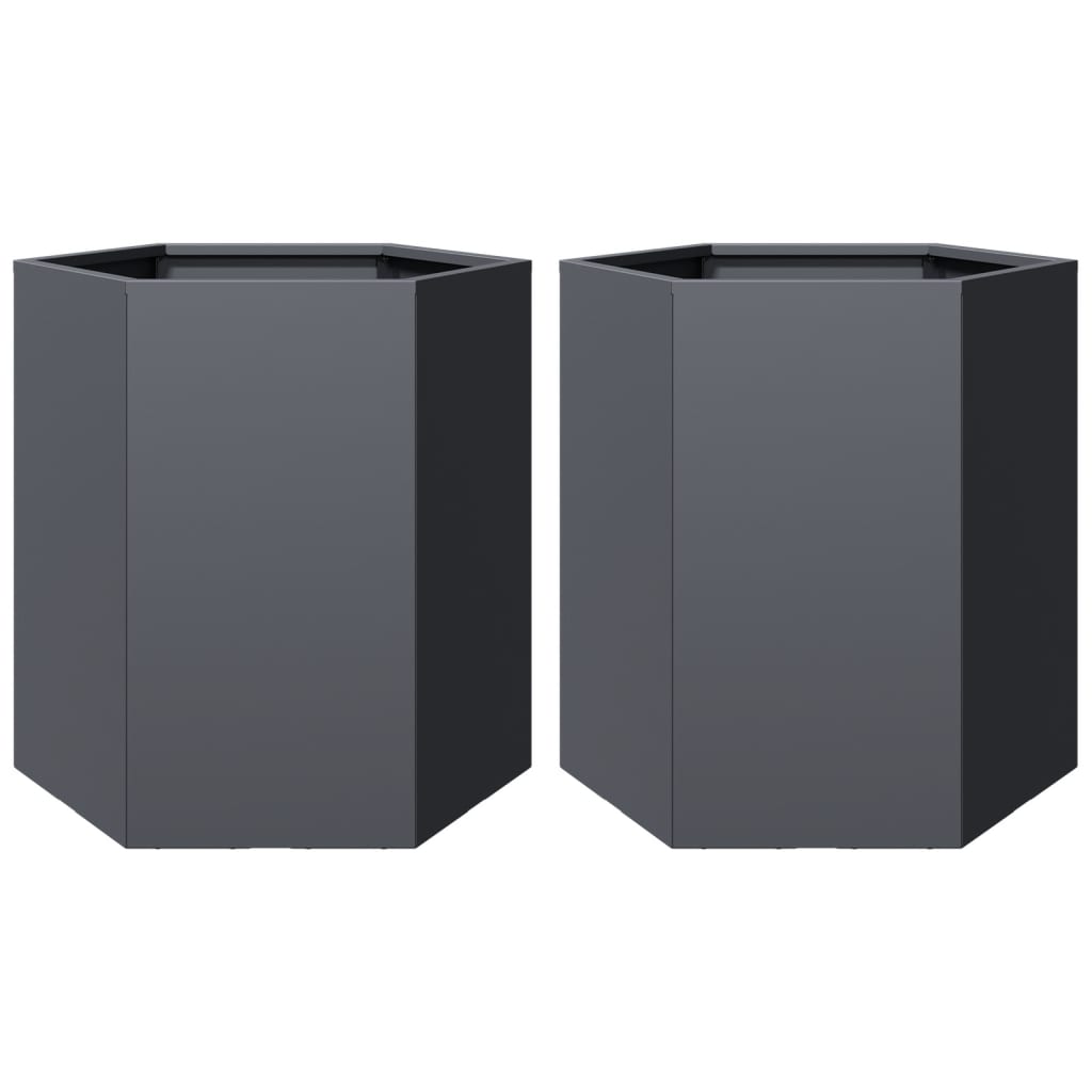 Vidaxx plantekasser 2 stk hexagon 46x40x45 cm stål antracit