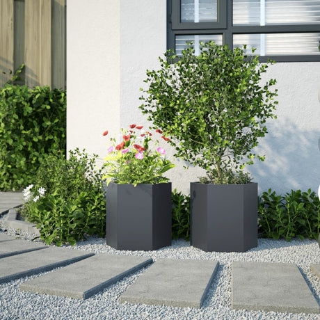 Vidaxx plantekasser 2 stk hexagon 46x40x45 cm stål antracit