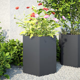 Vidaxx plantekasser 2 stk hexagon 46x40x45 cm stål antracit