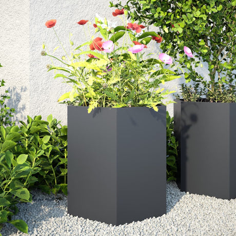 Vidaxx plantekasser 2 stk hexagon 46x40x45 cm stål antracit