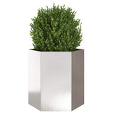 Vidaxx plantekasse sekskant 46x40x45 cm rustfrit stål