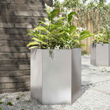 Vidaxx plantekasse sekskant 46x40x45 cm rustfrit stål