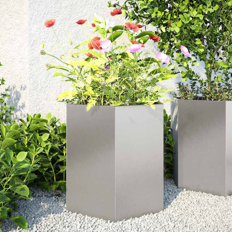 Vidaxx plantekasser 2 stk sekskant 46x40x45 cm rustfrit stål
