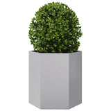 Vidaxx plantekasse sekskant 46x40x45 cm galvaniseret stål