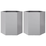 Vidaxx plantekasser 2 stk sekskant 46x40x45 cm galvaniseret stål