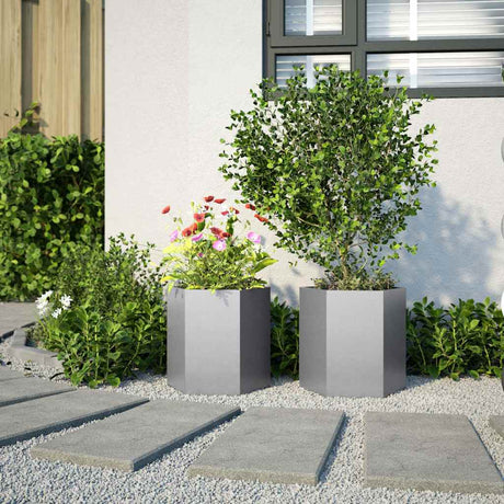 Vidaxx plantekasser 2 stk sekskant 46x40x45 cm galvaniseret stål