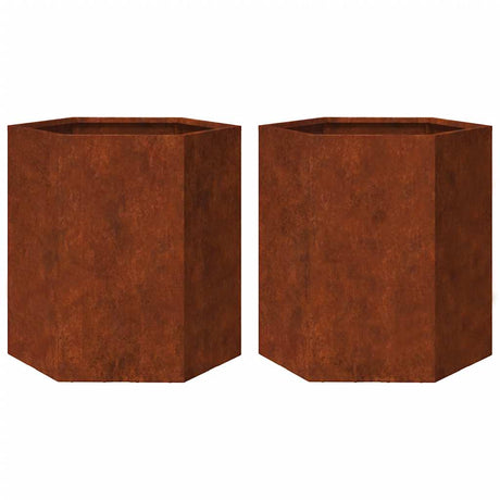 Vidaxx plantekasser 2 stk sekskant 46x40x45 cm vejrbestandigt stål