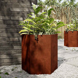 Vidaxx plantekasser 2 stk sekskant 46x40x45 cm vejrbestandigt stål