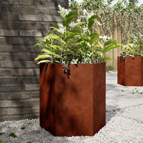Vidaxx plantekasser 2 stk sekskant 46x40x45 cm vejrbestandigt stål